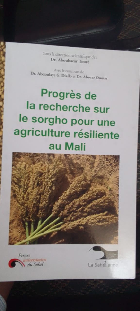 Le sorgho, clé de la sécurité alimentaire au Mali : Les dernières découvertes du Dr Touré