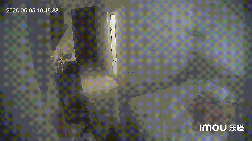乐橙酒店偷拍大爆料！白领眼镜男带小女友开房如愿狂吃，激战两次高潮迭起 配图7