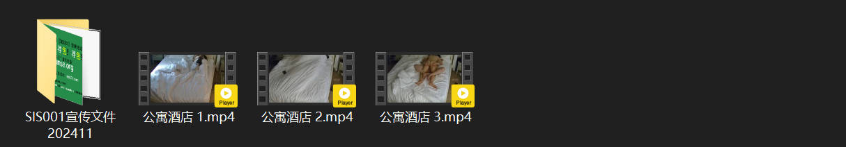 公寓酒店3-16号小姐接客日常：服务态度最差却天天爆满，爽钱双收的真实赚钱机器！ 配图8