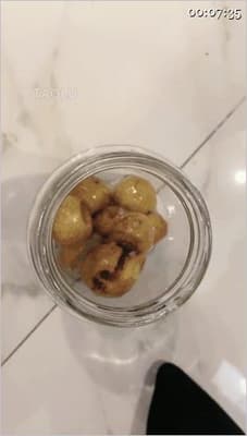 ㊙️【SM调教】【罗宾女王】圣水口水咀嚼物水果罐头喂食记/带素人闺蜜直接闯到狗家里疯狂玩狗2V-老宋论坛
