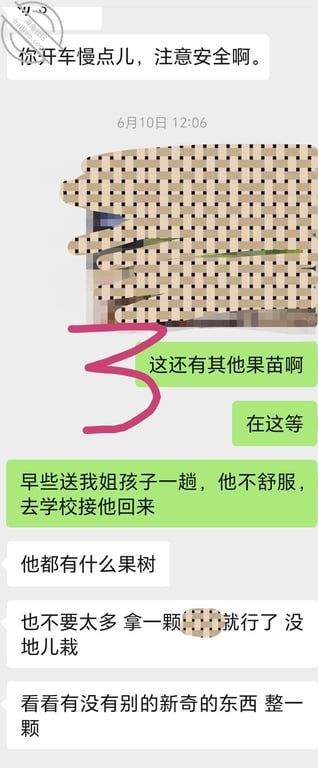 (原创视频)184：干妈趁老公上楼顶看施工，来房间看我被我操了 配图12