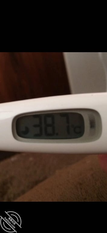 【原创】小侄女发着烧，让我强行内射，不一样的感受 - 老宋论坛-老宋论坛