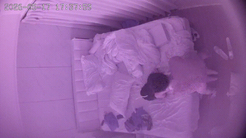 ⁸¹ 上帝视角 5-17 男人周五到周天 包个萝莉塔小妹在酒店操了三天 最喜欢的 配图5
