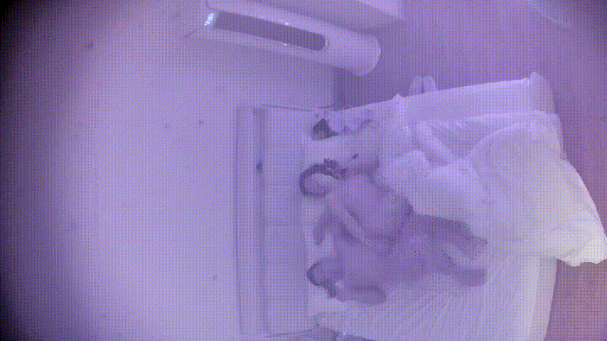 上帝视角5-2：中年夫妻激情日常，男人敷衍省力，女人忍不住主动骑乘高潮！ 配图3