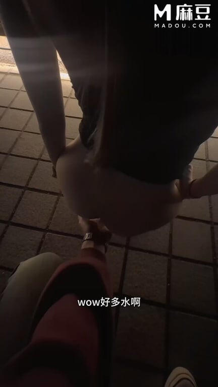 【精品猎艳】小吕布 - 全程记录沦为淫奴的女孩 从淄博到环球影城 摩天轮轮震露脸 配图23