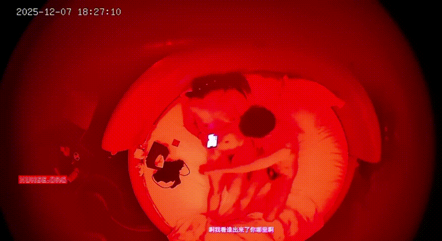 上帝视角 丰满娇小少妇圆床换情趣套装 丝袜诱惑跨骑扭腰大战 扶墙后入激情宣泄 配图7