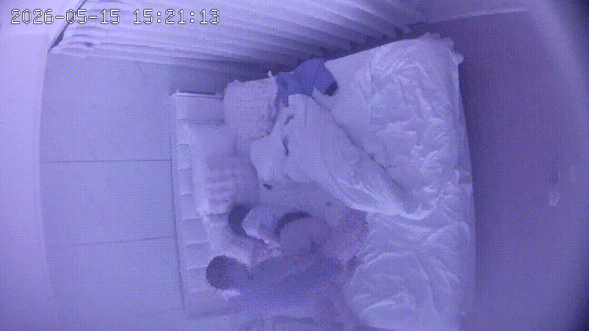 上帝视角5-15：小妹上门服务被猛干！吃药后前后狂操两次暴力拉床边后入高潮 配图4
