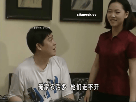 【AI推演】经典电视剧魔改刘涛出道作《外来媳妇本地郎》演员：刘涛 刘莹莹 黄锦裳 配图9