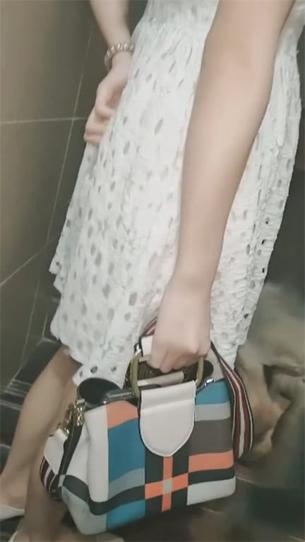 ❣️推荐❣️【遛狗少妇抄底】上楼抓屁股看来刚经历一场大战啊,养个大狗穿短裙还不穿内裤,骚逼还是湿的1V愃-老宋论坛