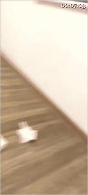 ㊙️【SM调教】【欣婷】黄金/圣水/口水欣婷sama潮汕-重口巨量超多黄金圣水专场-老宋论坛