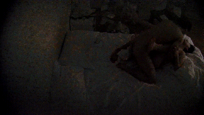 精品酒店激情爆棚！小眼镜带绝美女友开房，醒着就疯狂缠绵不停歇，无水印高清版 配图8