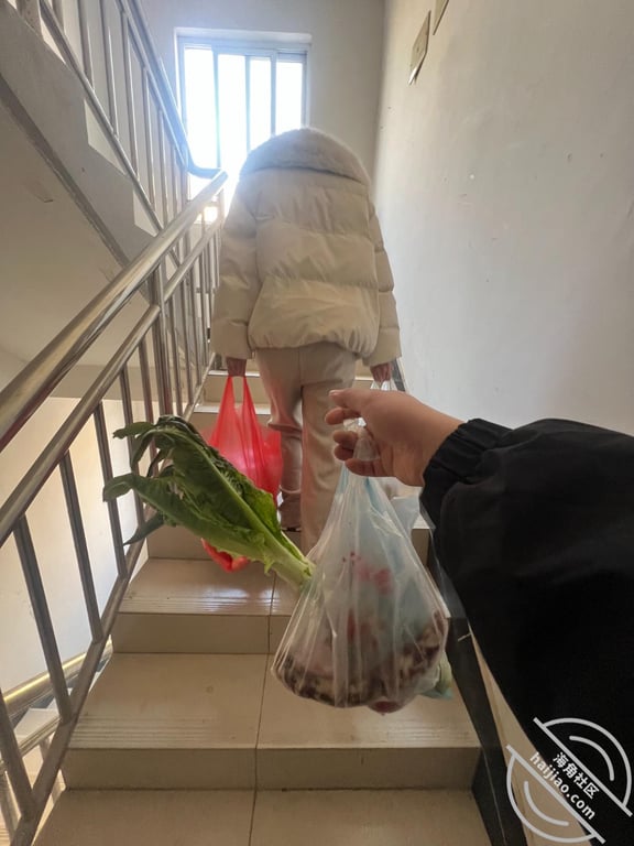 和亲妹妹同居的生活-我和亲妹妹54（视频帖） - 老宋论坛-老宋论坛