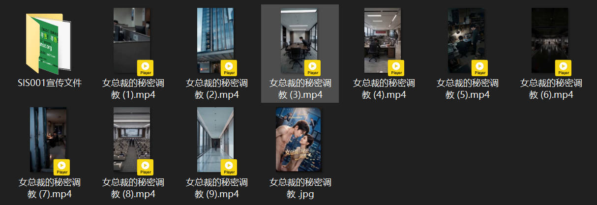 【AI短剧】《女总裁的秘密调教》EP 1-9 与自己有肉体之亲的女总裁 却被老登 配图8