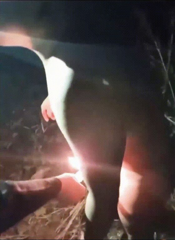 山东男子大冬天被脱光衣服烧鸡巴霸道整活惊天动地，网友争议不断，是霸凌还是整活？ 配图4