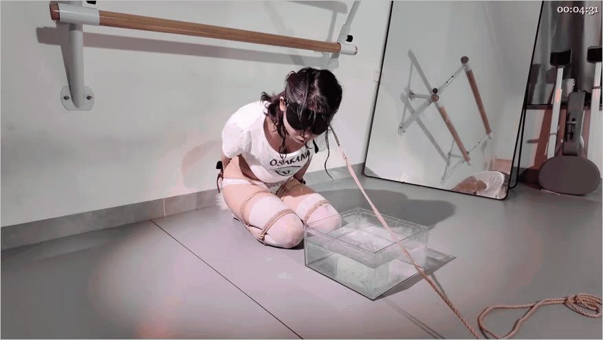 ㊙️【SM调教】【海砂工作室】jk少女互动教学_喘息的_圣诞树_制作方法⑾10V-老宋论坛