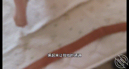 被内射 才能缓解焦虑 配图4
