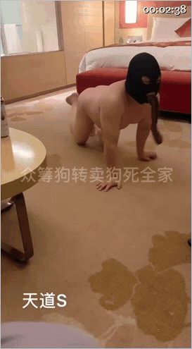 ㊙【SM调教】【天道夫妻】女王调教双男排队接受调教拉屎给男M吃束缚捆绑⑤6V 配图4