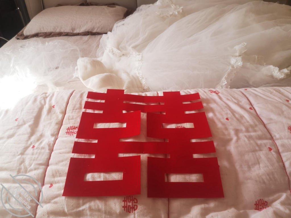 【骚姐姐原创】穿着婚纱把屁眼第一次给弟弟，领不了证我也要嫁给你..... - 老宋论坛-老宋论坛