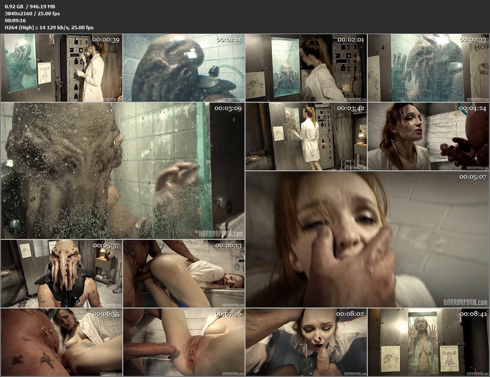 世界上最好的恐怖色情电影【Horror Porn】化妆特效皆是专业级，4K无水印 配图5
