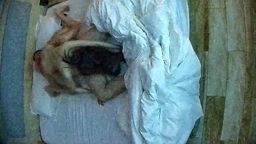 情趣酒店6-21激情夜：浓密逼毛美女放得超开，大哥尽情享受却有点拉胯遗憾 配图3