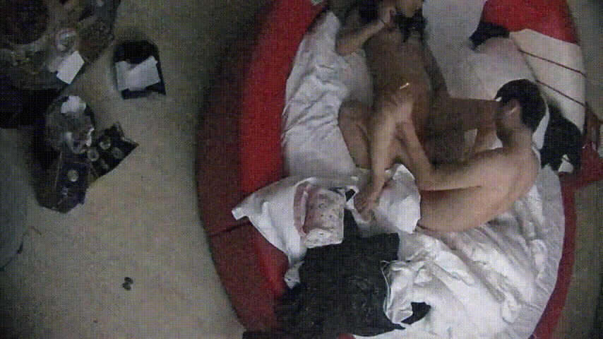 ⁸¹ 情趣台 12-25 圣诞节情侣开房 其它都是多余 就操逼 美女臀儿不错 美 配图5