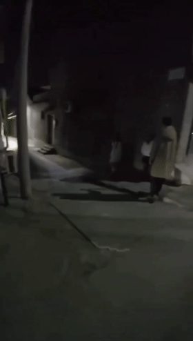 吃瓜钓鱼佬用鱼换炮街头与多名站街女谈判 最终以鱼为货币展开交易 钓鱼佬的世界真是 配图2