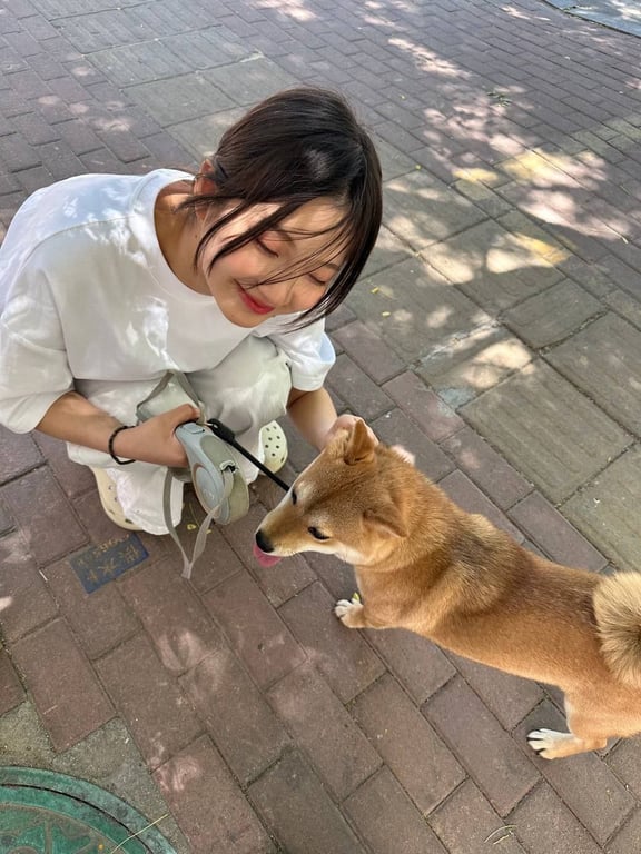 【独家泄密】恩施酒店反差长发妹，戴上乳夹后疯狂上位猛摇，铃铛声不断，她浪叫：长发 配图4
