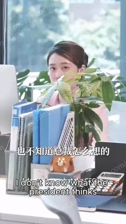 【AI短剧】『色彩标准』第1-3集 短剧魔改办公室OL秘书的与总裁的淫乱私情！ 配图21