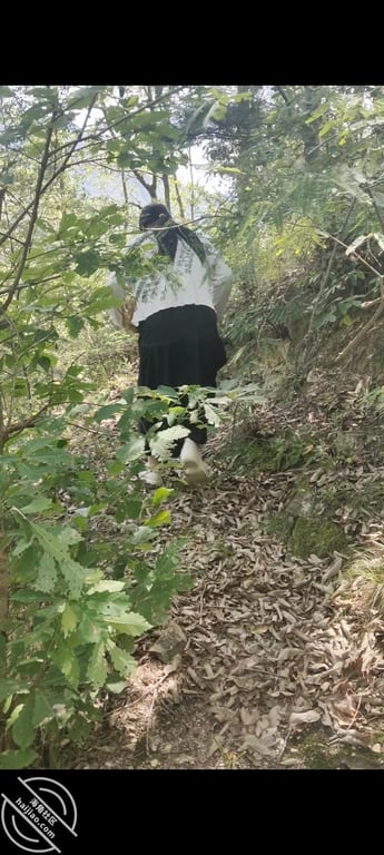 野外猛操学生妹坦克野战（金币福利） - 老宋论坛-老宋论坛