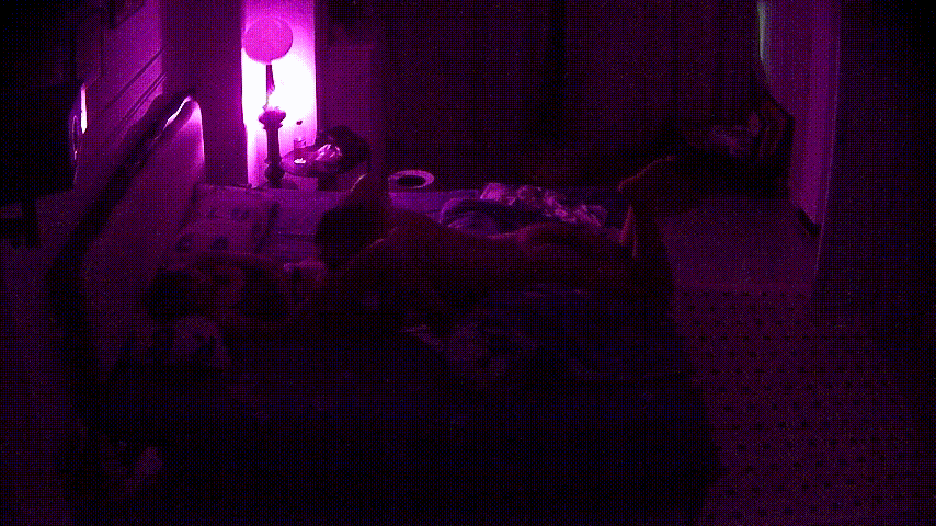 公寓酒店激情自拍 5-31 娇小美女跟男友互录猛操高潮 手机拍下疯狂骑乘与尖叫喷 配图4