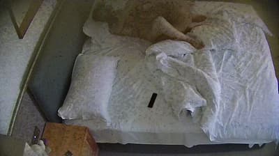 公寓酒店8-30 饥渴情侣开钟点房狂欢：进门先猛干一炮解饥，休息后退房前再战双炮！-老宋论坛