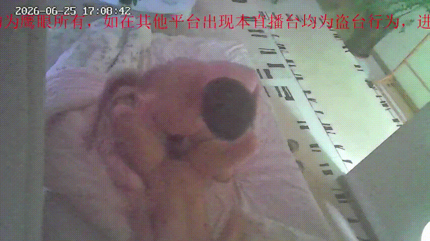 鹰眼视界 6-25 极品小少妇身材火辣肌肤嫩滑 男人疯狂舔舐蜜穴 赤裸床上激情翻 配图2