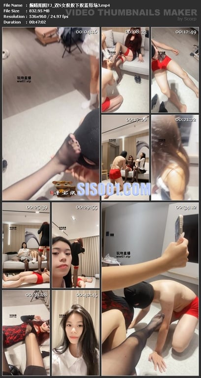 ㊙【SM调教】【婉晴/阳阳】双S女奴奴下奴羞辱场  3V 配图6