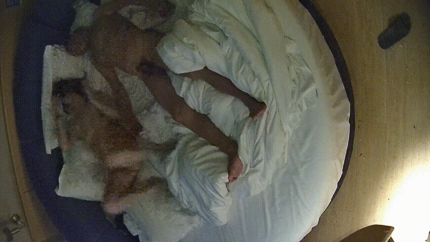 情趣台12-28：中年夫妻激情爆棚！少妇高潮到腿缠腰狂夹，男人扛肩猛冲不停，舔逼 配图2