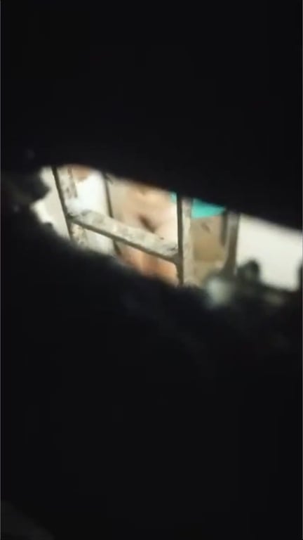 城中村偷窥狂热现场！对面打工妹浴室全裸洗澡刷牙，身材火辣自嗅胸罩香气引爆欲望 - 老宋论坛-老宋论坛