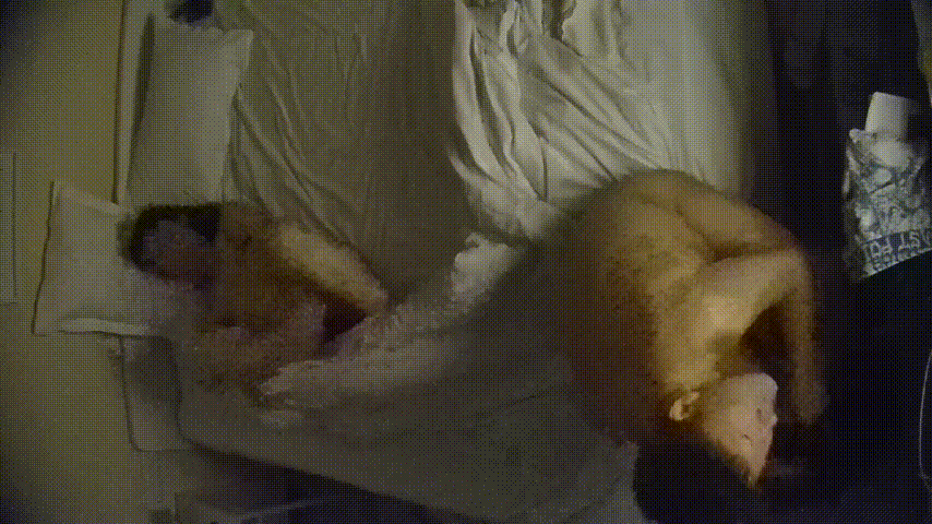 民宿激情实录：眼镜知识分子情侣床上含蓄缠绵，美女身材竟被这样温柔浪费！ 配图5
