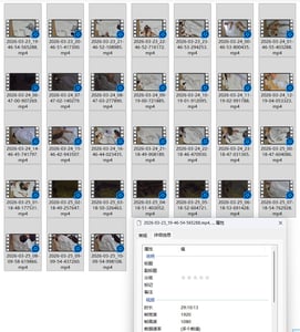 2026/03/23-24-25 长发及臀的黑丝反差眼镜妹与男友的酒店日常[11G/29:10:13/31V/518]-老宋论坛