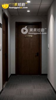 【AI短剧】《弱点》第1-15集假借律师名头,睡到了不少妹子,但实际上,他只是公 配图24