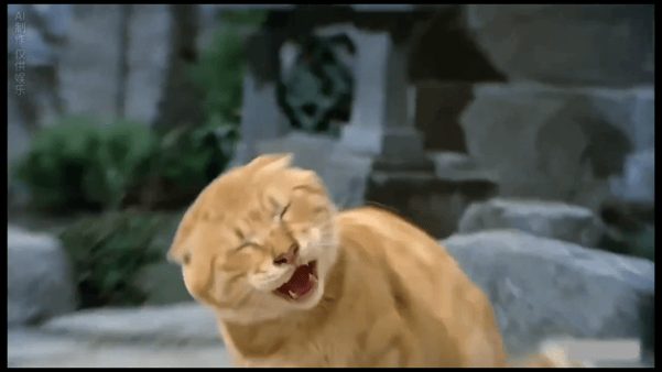 【AI短剧】喵了个咪全20集 网红模型改编，剧情很有梗！ 配图3