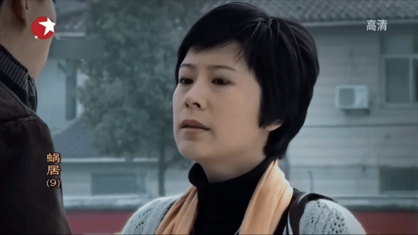 【AI脱衣+AI推演】魔改版电视剧《蜗居》完整版12分钟 李念 海清 配图14