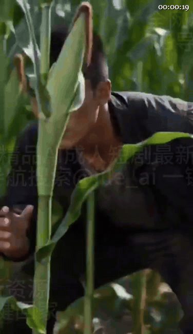 【AI短剧】《乡野旧恨》EP1-2集，农村玉米里面的做爱故事，只有蛮力就是操（2 配图2