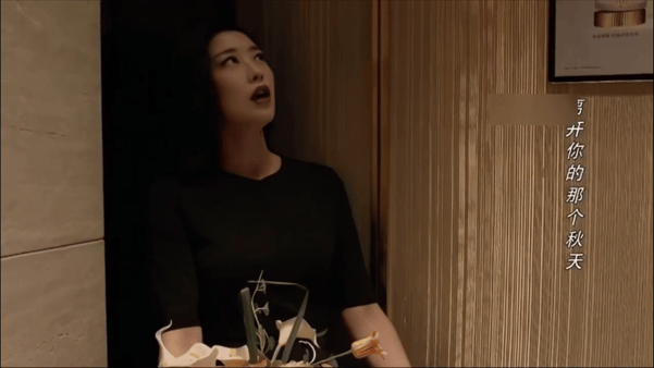【AI脱衣+AI推演】魔改版电视剧《精英律师》朱珠 王鸥 刘敏涛 蓝盈莹 配图9