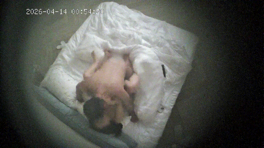 上帝视角4-14 极品大奶光滑翘臀美女，晨起深喉含屌叫醒服务，梦幻完美性伴侣 配图3