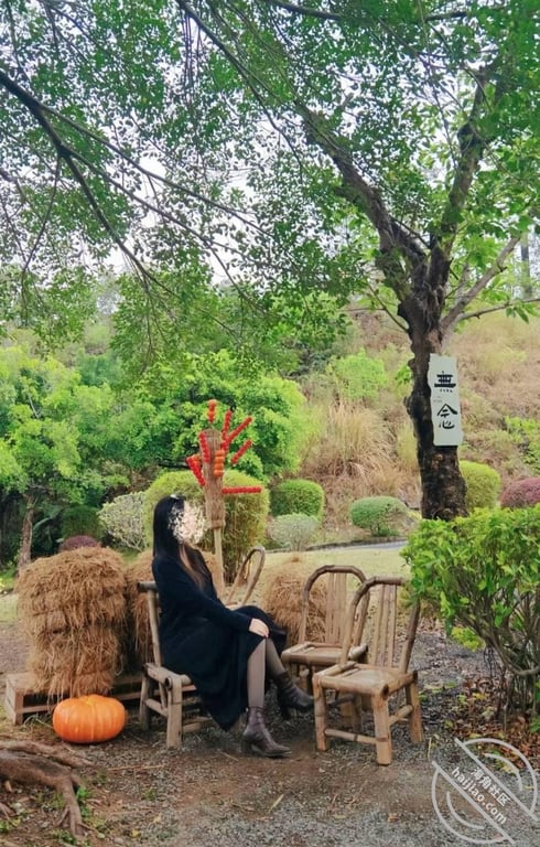 趁姐姐喝多，把姐姐当死鱼操了 - 老宋论坛-老宋论坛
