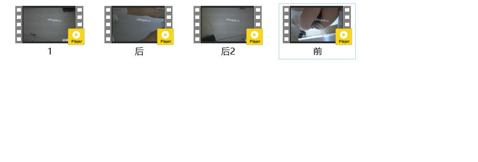 私房八月新流出售价70元【主播厕拍】双视角超清晰偷拍年轻貌美女主播的性感馒头逼（ 配图12