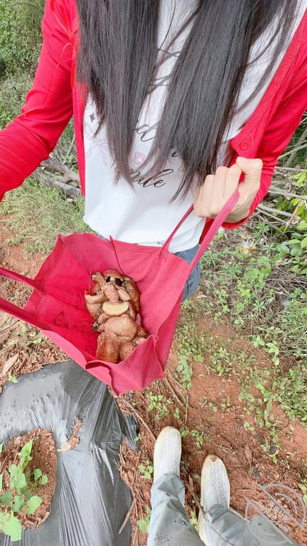 （原创51）没办法只能叫女儿在旱厕里给我吃一下鸡巴解解馋了 配图8