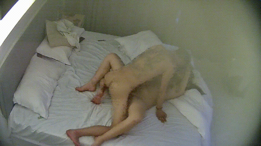 民宿激战续：纹身猛男遇巨乳女友，主动献吻却被逼脸猛坐，床下后入高潮连连 配图3