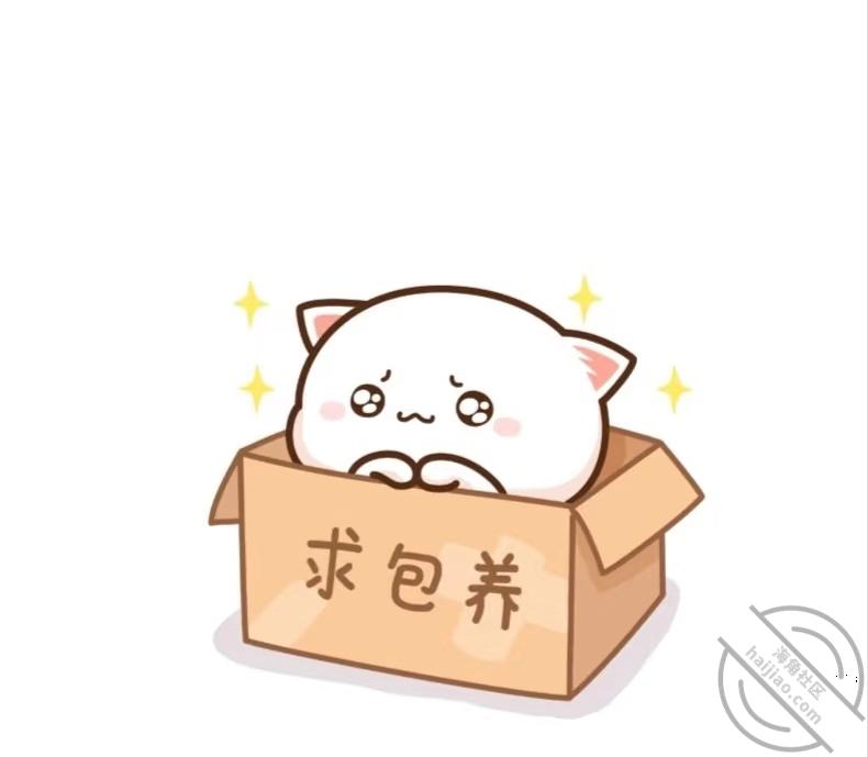 我与我的小骚逼 配图7