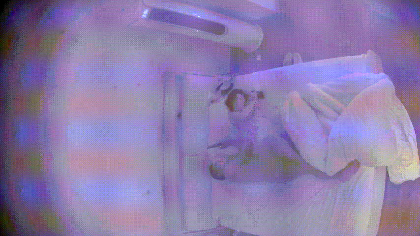 上帝视角5-2：中年夫妻激情日常，男人敷衍省力，女人忍不住主动骑乘高潮！ 配图2