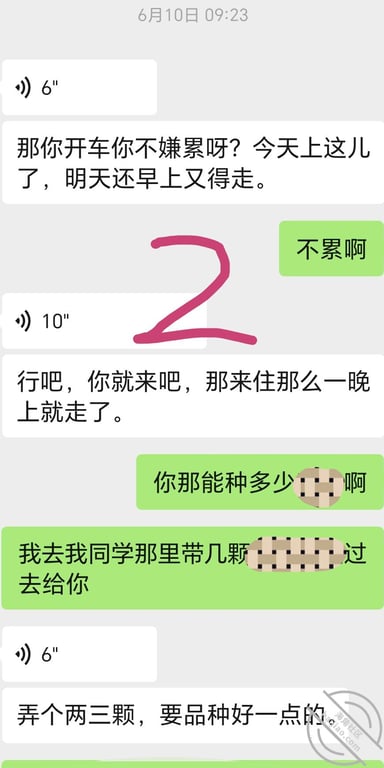 (原创视频)184：干妈趁老公上楼顶看施工，来房间看我被我操了 配图11